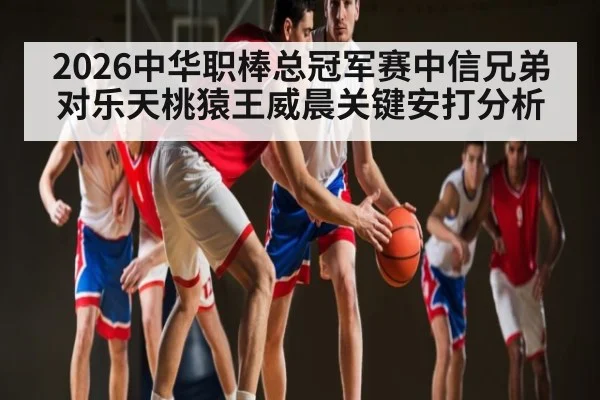 2026中华职棒总冠军赛中信兄弟对乐天桃猿王威晨关键安打分析